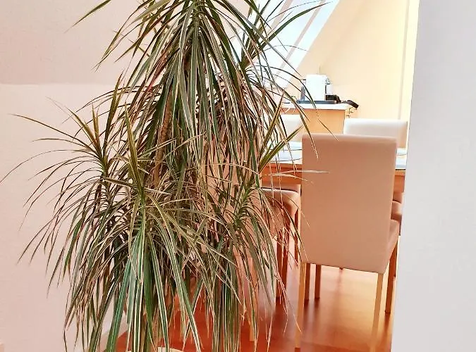 Zentrales Dachgeschoss-apartment Appartement